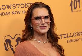 Brooke Shields reveals plastic surgeon added little bonus to labia  surgery | The Independent
