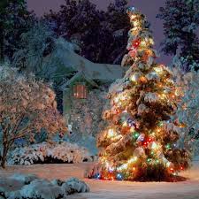 Christmas Wallpaper Ipad 2048x2048 Download Hd Wallpaper Wallpapertip