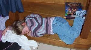 Repousser le chat des voisins. Des Chats Des Filles Les 10 Ans De Ma Fille Les Jardins D Helene