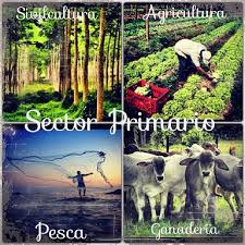 Resultado de imagen para principales actividades económicas en Colombia