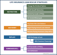 You can choose to pay for a life insurance policy with a single premium: How To Rescue A Life Insurance Policy With A Loan