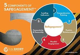 safety plus engagement equals safegagement