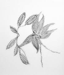 Exhibition: Joanne Lyons/Shadow Dance