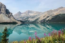 Bow Lake Banff National Park Alberta Canada Oc 5028x3352 R Earthporn Banff National Park National Parks Surfing