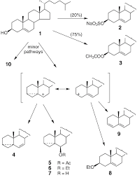 Products From Liebermann Burchard Lb Reactions Quenched At The Blue Download Scientific Diagram