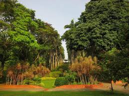 Ang Mo Kio Town Garden West Parks Nature Reserves Gardens Parks Nature National Parks Board Nparks