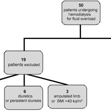 Study Flow Chart Bmi Body Mass Index Bw Body Weight