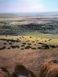 How about this movie "the Shadow of Chikara. (1977) filmed in the fall of  1977 on the Buffalo River