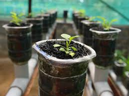 Check out this buyer's guide for the top picks. 33 Amazing Hydroponic Systems For Indoor Gardening