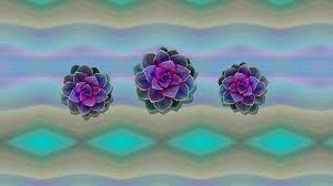 We did not find results for: Desert Flower Purple Green Blue Flower Hd Wallpaper Peakpx