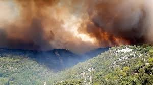 Check spelling or type a new query. Anw8juxnsgc5um