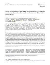 Image result for Oldfieldia macrocarpa