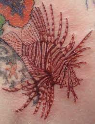 Lionfish eating goldfish, lionfish sting effects, lionfish facts for kids, lionel richie wife beats him up, lionfish aquarium size, lionel richie mug ebay, lionfish sting pictures. A Close Up Of The Lionfish Tattoo Ocean Sleeve Tattoos Lion Fish Octopus Tattoo Sleeve