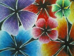 Flowers Oil Pastel On Paper Oil Pastel Paintings Oil Pastel Art Oil Pastel