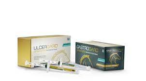 Equine Ulcer Protection Horse Health Horse Care Healthy Horses