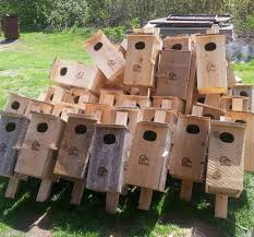The photograph below and the plans on pages 18 and 19 depict a traditional design for a wood duck box that can be constructed with basic tools and materials. Nest Box Maintenance Program Ducks Unlimited Canada Induced Info