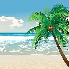 Tropical Beach With Coconut Vector Background Beach Clipart Green Beach Png Transparent Clipart Image And Psd File For Free Download Beach Clipart Coconut Vector Tropical Background