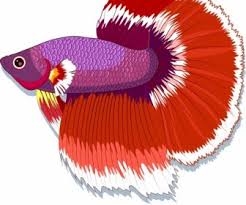 We did not find results for: 26 Cupang Vector Png