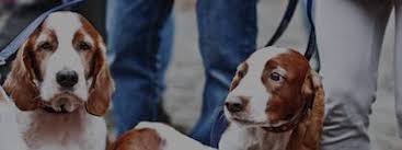 See tripadvisor's lothian, md hotel deals and special prices on 30+ hotels all in one spot. The Best 10 Pet Boarding Pet Sitters In Annapolis Md Whodoyou