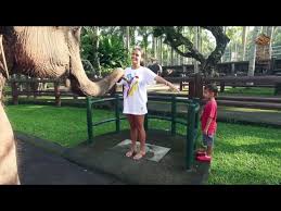 The frightened camel pleaded with the jackal not to do so. Elephant Safari Park Tegalalang Destimap Destinations On Map