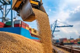 Além da soja, agro brasileiro avança com a disputa EUA–China | Agro Estadão