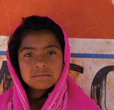 COMPLIANCE ADVISOR OMBUDSMAN