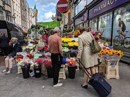 Maybe you would like to learn more about one of these? Dublin Flowers Planeta Com
