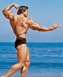 Arnold schwarzenegger's age on television? Arnold Schwarzenegger Speedo Posing Trunks Underwear Now Vs Then