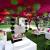 Party Stretch Tents Decor Images
