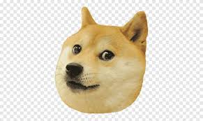 You a video today instead of editing speed hack roblox code early tomorrow. Shiba Inu Shiba Inu 0 Star Doge Weird Game T Shirt Doge Mammal Face Png Pngegg