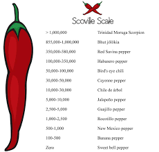 Know About Scoville Scale For Peppers To Measure Their Hotness