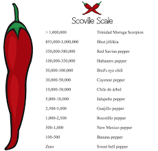 know about scoville scale for peppers to measure their hotness