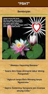 Jul 16, 2021 · bunga terate mekar setengah mekar dan kuncup. Psht For Android Apk Download