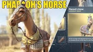 Also, camels should be much better. Assassins Creed Origins How To Get Pharaoh S Horse Youtube