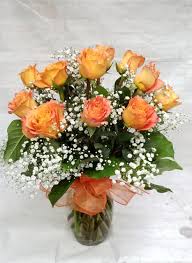 Check spelling or type a new query. One Dozen Orange Roses In Davis Ca Strelitzia Flower Company