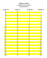 *approximate averages length weight curved fork length straight fork length current size classifications Fish Weight From Length Conversion Tables Mexico Fish Birds Crabs Marine Life Shells And Terrestrial Life