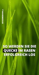 Quecke Bekampfen So Werden Sie Das Unkraut Im Rasen Los Unkraut Im Rasen Rasen Unkraut