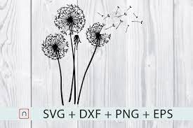 Check spelling or type a new query. Dandelions Svg By Novalia Thehungryjpeg Com