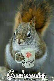 Check spelling or type a new query. Good Morning Cute Good Morning Good Morning Animals Good Morning Funny