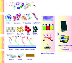 The oral glucose tolerance test (ogtt), also known as the glucose tolerance test, gauges the body's ability to metabolize sugar (glucose) and clear it from the bloodstream. Recent Progress Challenges And Prospects Of Fully Integrated Mobile And Wearable Point Of Care Testing Systems For Self Testing Chemical Society Reviews Rsc Publishing