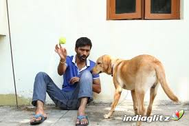 8424 movie 4k wallpapers and background images. Velaiyilla Pattathari Photos Tamil Movies Photos Images Gallery Stills Clips Indiaglitz Com