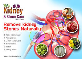 Buy Health Care Products Online Herbal Juices Health Everyday Herbalism Kidney Stones Pomegranate