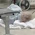 Elderly woman left on the floor