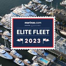 Image result for Brown 2023 Fleet