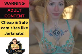 7 Sites like Jerkmate but better! | Safe Adult Webcams
