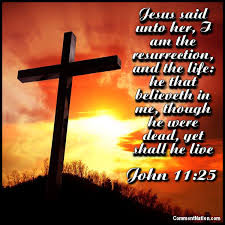 So easter dinner tonight with my highly religious christian family, and spent the night talking about this, evolution and other such stuff. Facebook Easter Comments Glitter Graphics And Gifs