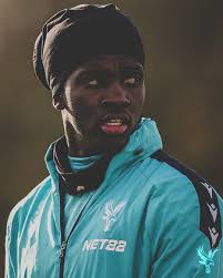 Describe Wilfried Zaha with...