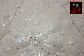 Un blog dedicato agli appassionati di impasti di ogni tipo, senza tralasciare la teoria e le curiosità scopri tutte le ricette sulla lavorazione e la creazione di impasti di ogni tipo: Preimpasto Poolish O Poolisch Ing Pizza