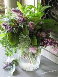 It thrives in sunshine and tolerates. Herb Bouquet I Love The Idea Of Using Herbs For Our Wedding Centerpieces There Herb Bouquet Flowers Bouquet Flower Arrangements