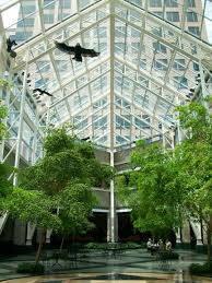 Atrium In Bausch Lomb Building Rochester Ny Downtown Rochester Hometown